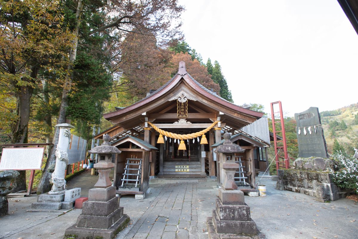 公の場での発言・インタビュー報道記録