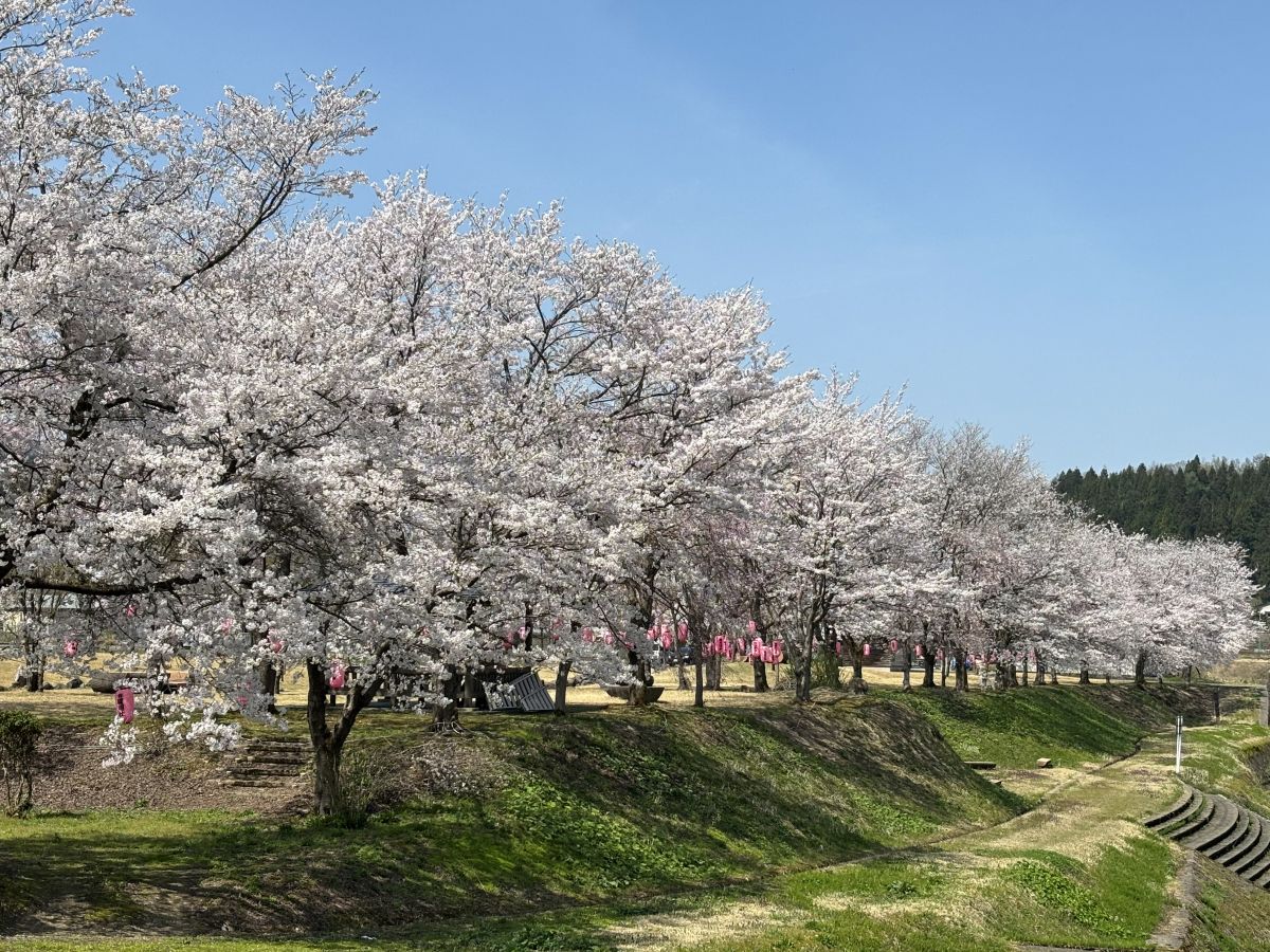おぐにせせらぎ公園｜長岡の観光スポット｜【公式】長岡観光ナビ