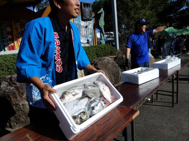 「農と魚のフェスティバルin寺泊2023＆同日開催寺泊ナイトマルシェ　」ページが更新されました