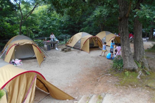 【臨時休業のお知らせ】「うまみち森林公園」復旧作業の為、臨時休業いたします