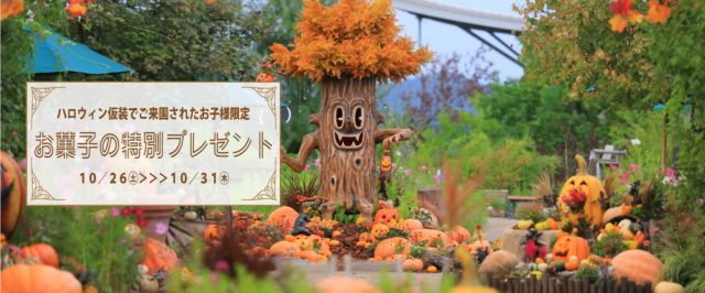 【国営越後丘陵公園】ハロウィン仮装でご来園のお子様限定！お菓子プレゼント！