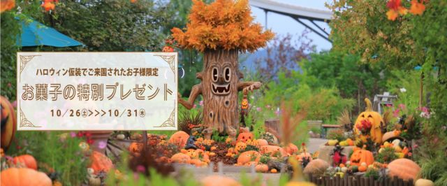 【国営越後丘陵公園】ハロウィン仮装でご来園のお子様限定!お菓子プレゼント!