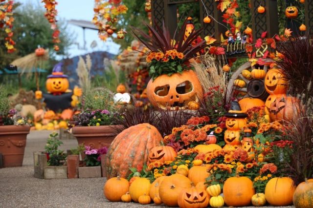 【国営越後丘陵公園】ハロウィン仮装でご来園のお子様限定！お菓子プレゼント！