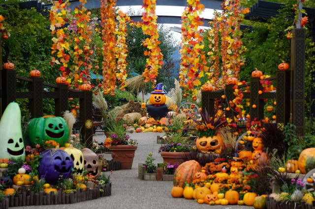 【国営越後丘陵公園】ハロウィン仮装でご来園のお子様限定！お菓子プレゼント！