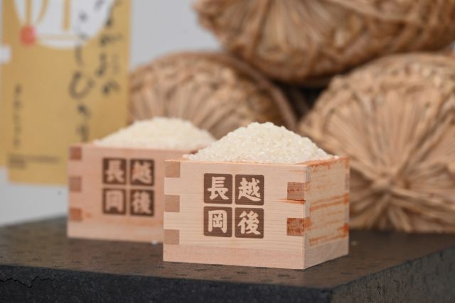 長岡が誇るブランド米!「金匠」2合付き宿泊プラン予約受付中です