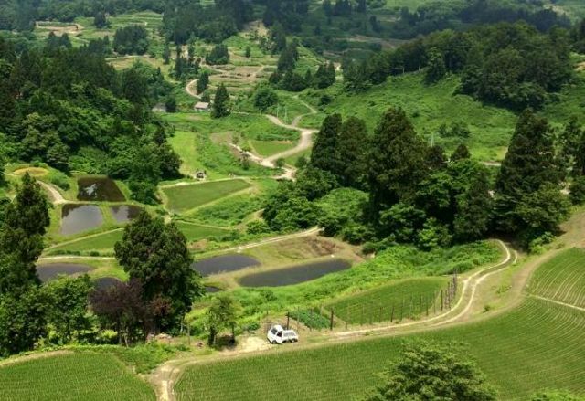 【長岡まつり大花火大会チケットをお持ちでない方へお知らせ】長岡まつり特別企画「花火チケット付き」日帰りバスツアーご案内