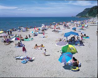 【お知らせ】寺泊海水浴場の開設期間
