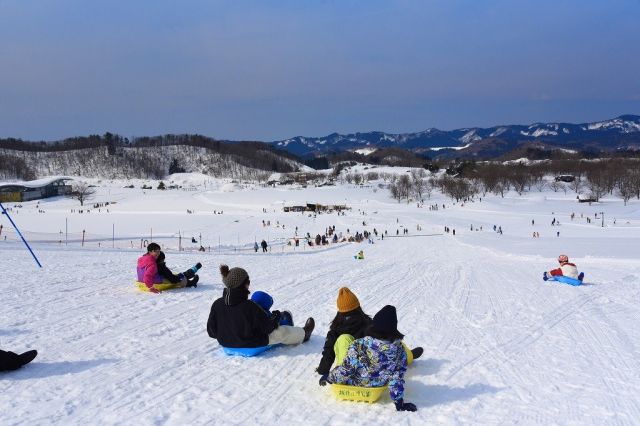 【国営越後丘陵公園】年末年始のご案内