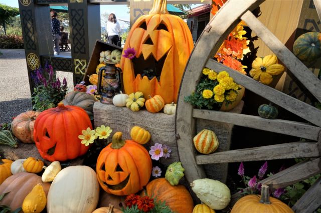 【国営越後丘陵公園】ハッピーハロウイン開催!