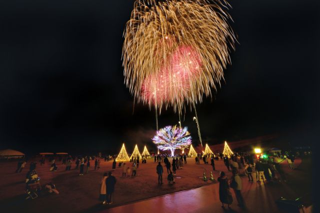 【国営越後丘陵公園】今年で最後!『長岡花火ウインターファンタジーFinal』前日の11月29日(金)までチケット好評販売中!