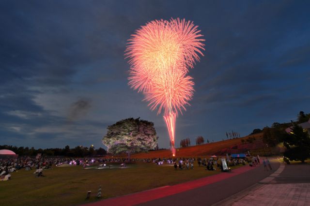 【国営越後丘陵公園】『長岡花火ローズファンタジー』入場券の販売が始まりました