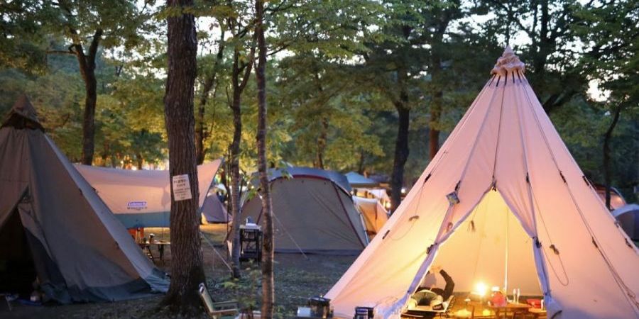 長岡の観光スポット 公式 長岡観光ナビ 新潟県長岡市の観光 旅行サイト