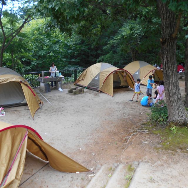 うまみち森林公園