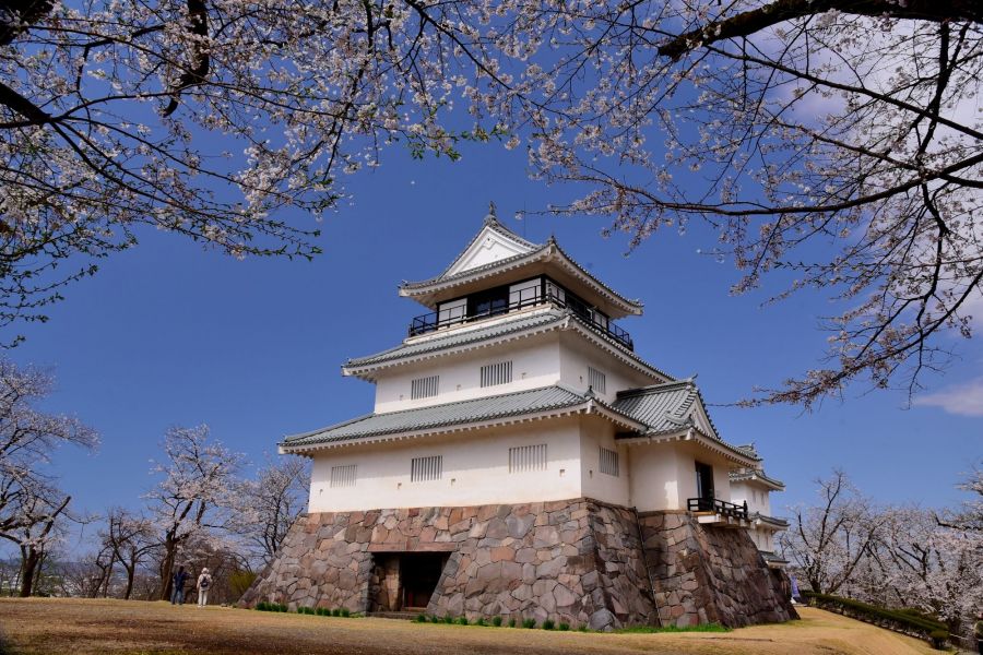 悠久山桜まつり 長岡のイベント 公式 長岡観光ナビ 新潟県長岡市の観光 旅行サイト