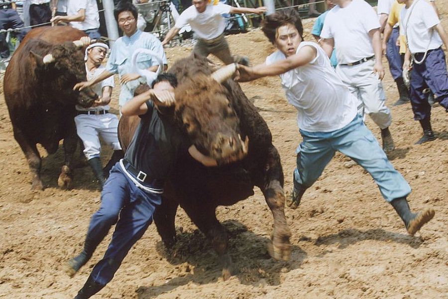 勢子たちの戦い