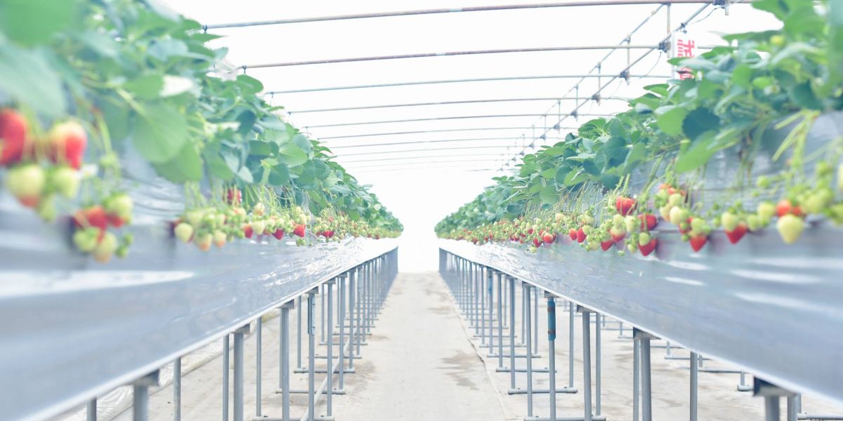 長岡の観光スポット 公式 長岡観光ナビ 新潟県長岡市の観光 旅行サイト