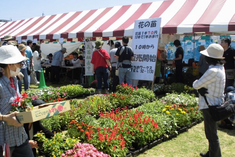 長岡市花いっぱいフェア21 21年度開催中止 長岡のイベント 公式 長岡観光ナビ 新潟県長岡市の観光 旅行サイト