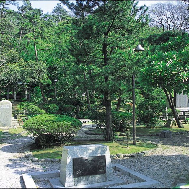 聚感園