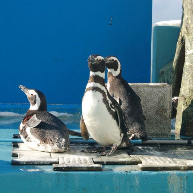 寺泊水族博物館