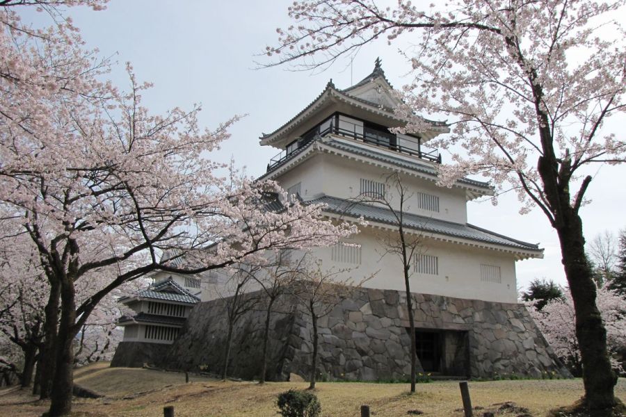 桜の時期の郷土史料館
