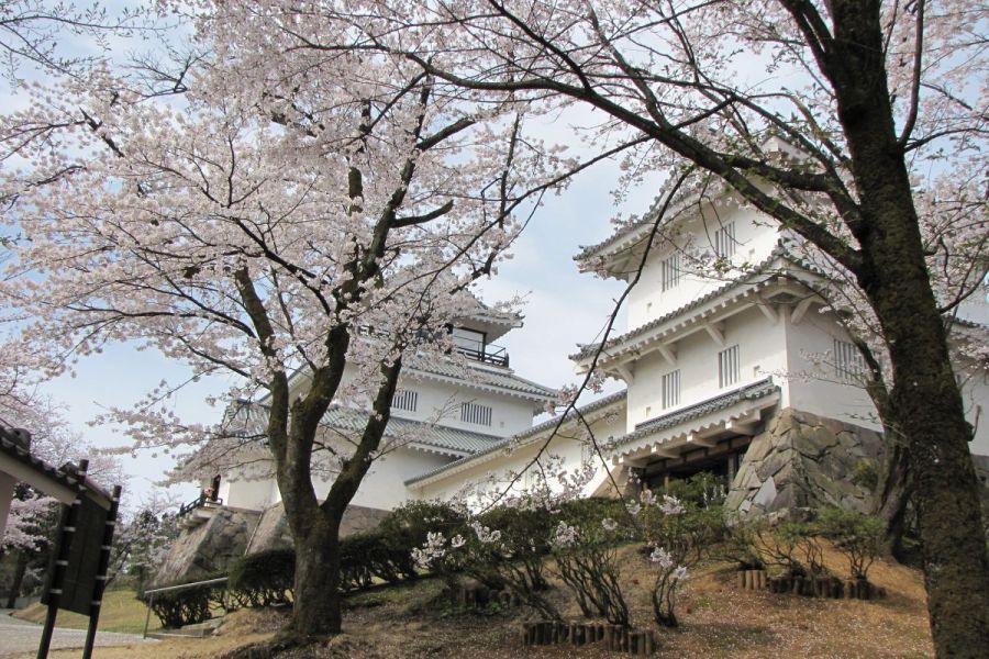 桜の時期の郷土史料館