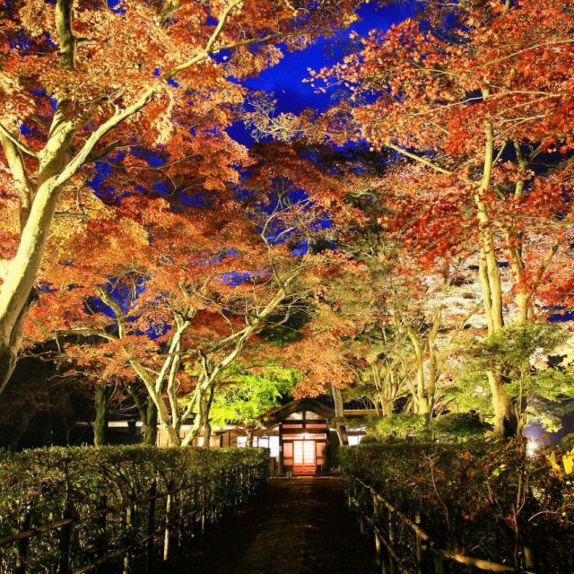 越路もみじまつり