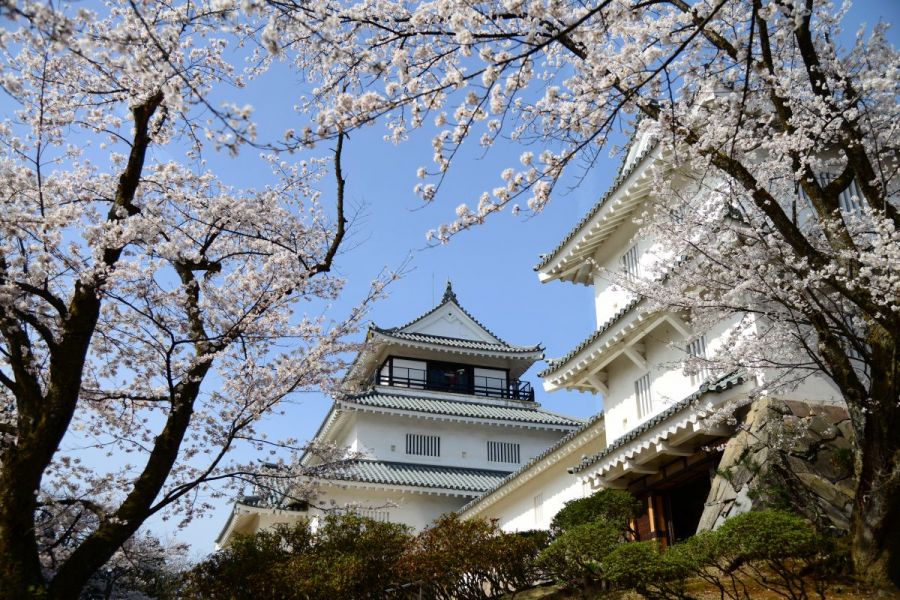 歴史の古里「悠久山史跡めぐりの旅」【半日コース(4時間）】