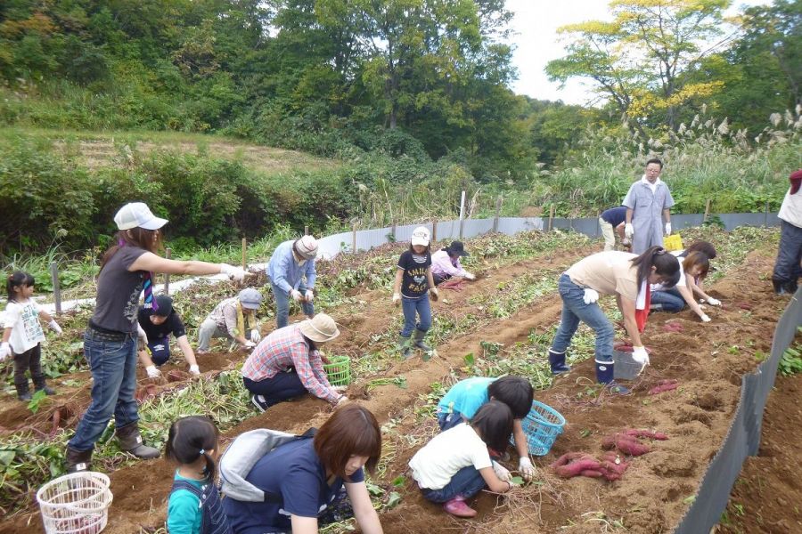 道院高原キャンプ場