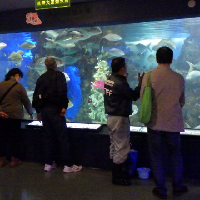 【寺泊水族博物館】高校生以上限定 ～大人のバックヤードツアー～