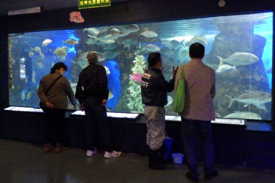 【大人限定】寺泊水族博物館バックヤードツアー※7月17日分は店員に達しました