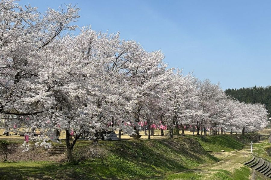 おぐにせせらぎ公園