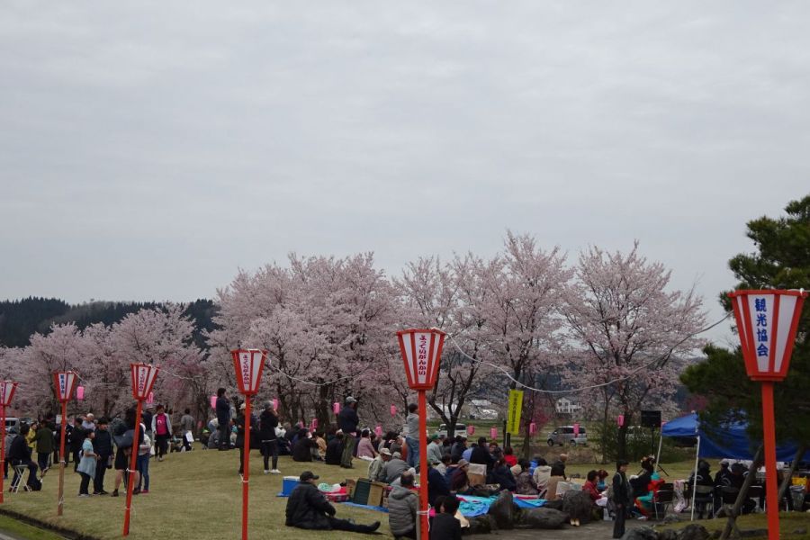 おぐに桜まつり（４月）