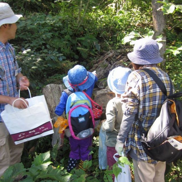 国営越後丘陵公園「昆虫観察会」