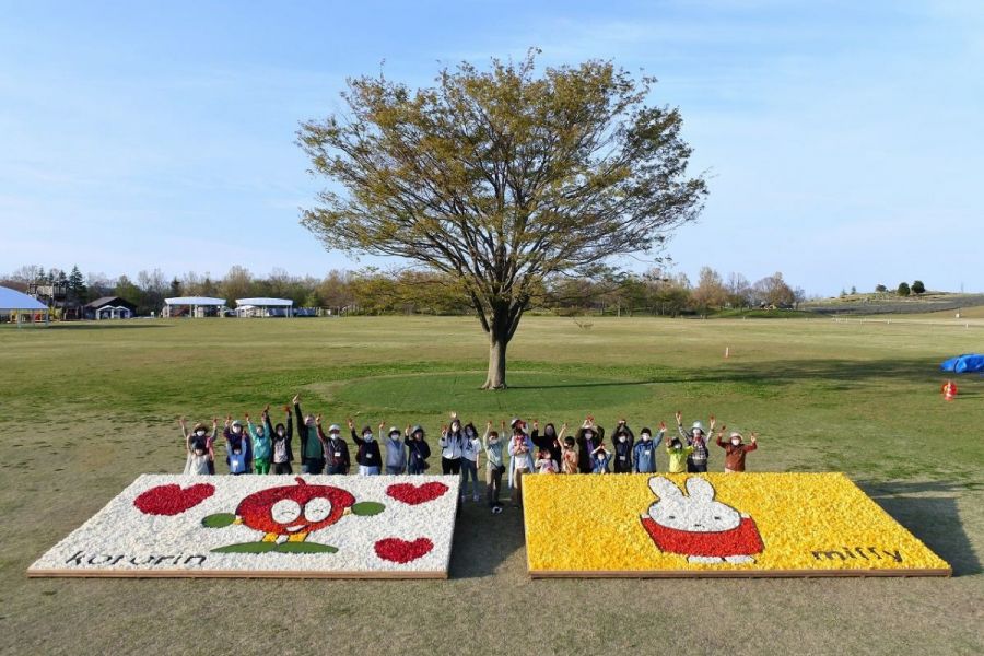 国営越後丘陵公園 花絵プロジェクト 長岡のイベント 公式 長岡観光ナビ 新潟県長岡市の観光 旅行サイト