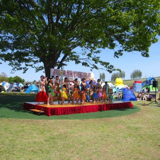 国営越後丘陵公園「ALOHAカーニバルSpring！」