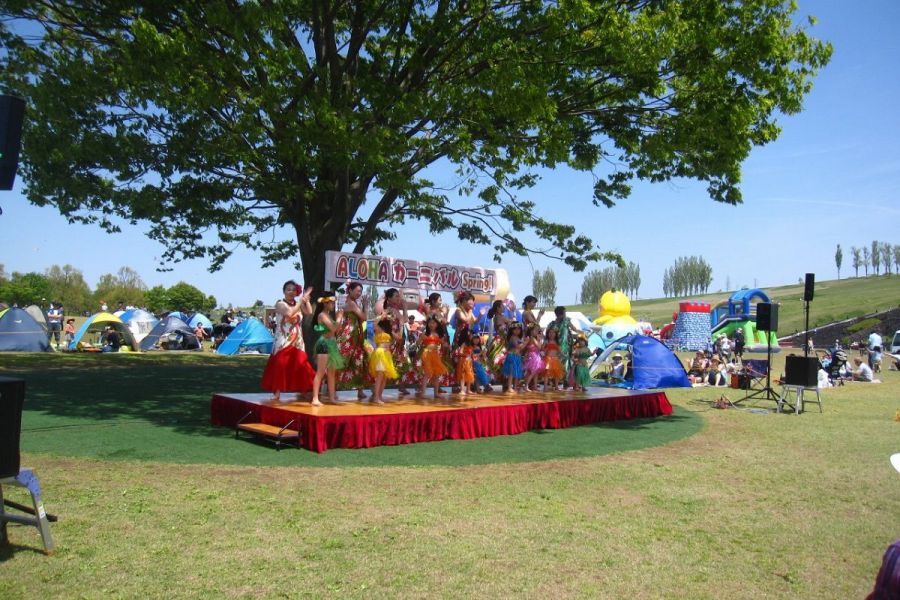 国営越後丘陵公園 Alohaカーニバルspring 長岡のイベント 公式 長岡観光ナビ 新潟県長岡市の観光 旅行サイト