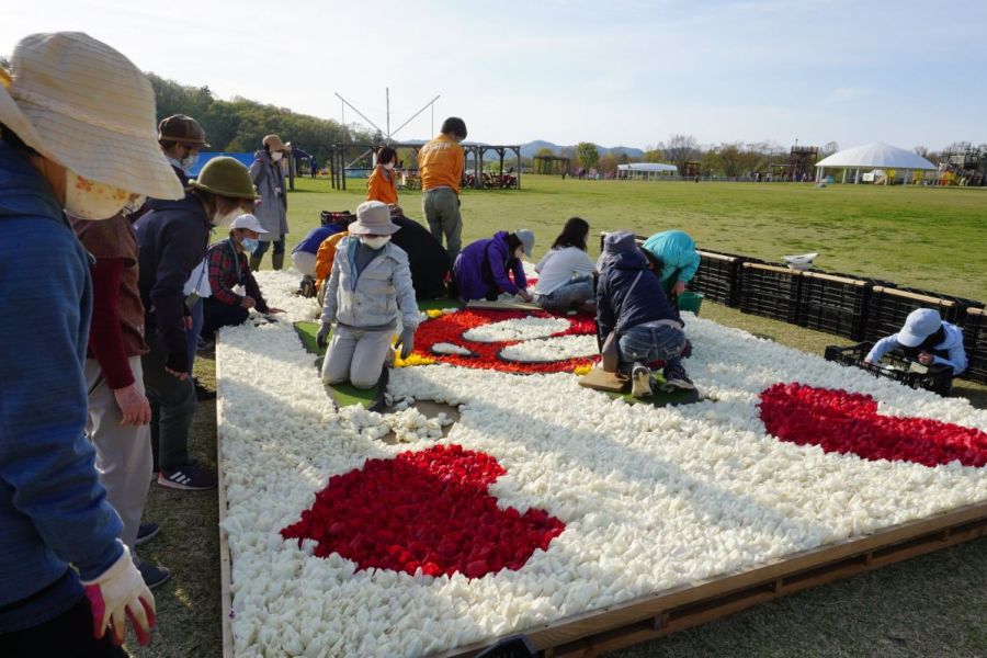 国営越後丘陵公園 花絵プロジェクト 長岡のイベント 公式 長岡観光ナビ 新潟県長岡市の観光 旅行サイト