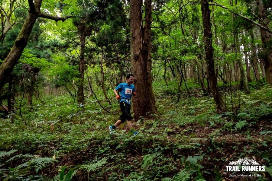 国営越後丘陵公園トレイルランニング