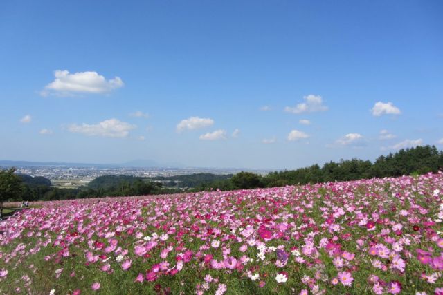 東山ふれあい農業公園