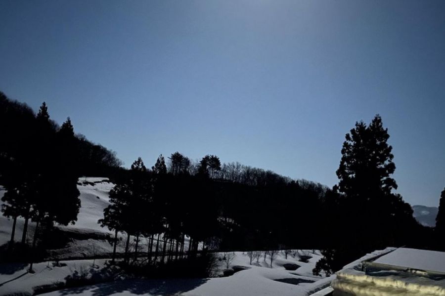 国営越後丘陵公園「キャンプの楽校【春編】」