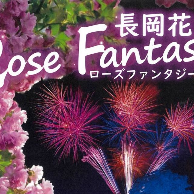 長岡花火『Rose Fantasy』
