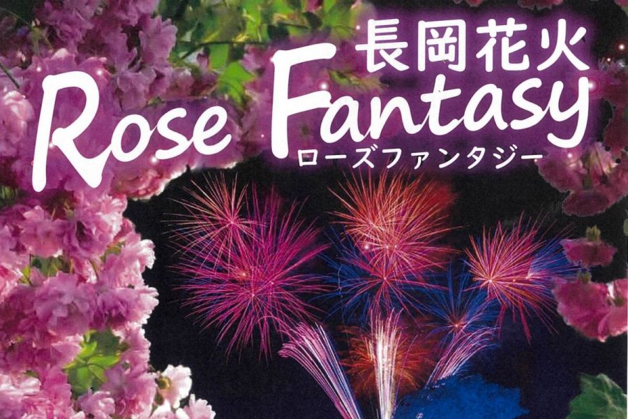 長岡花火「Rose Fantasy」
