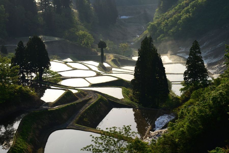 山古志棚田棚池