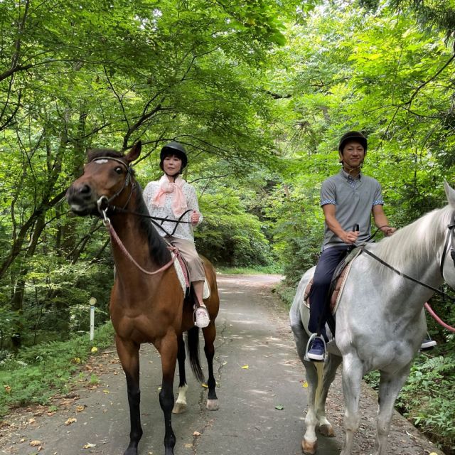 サラブレッドに乗れる！山道で乗馬体験