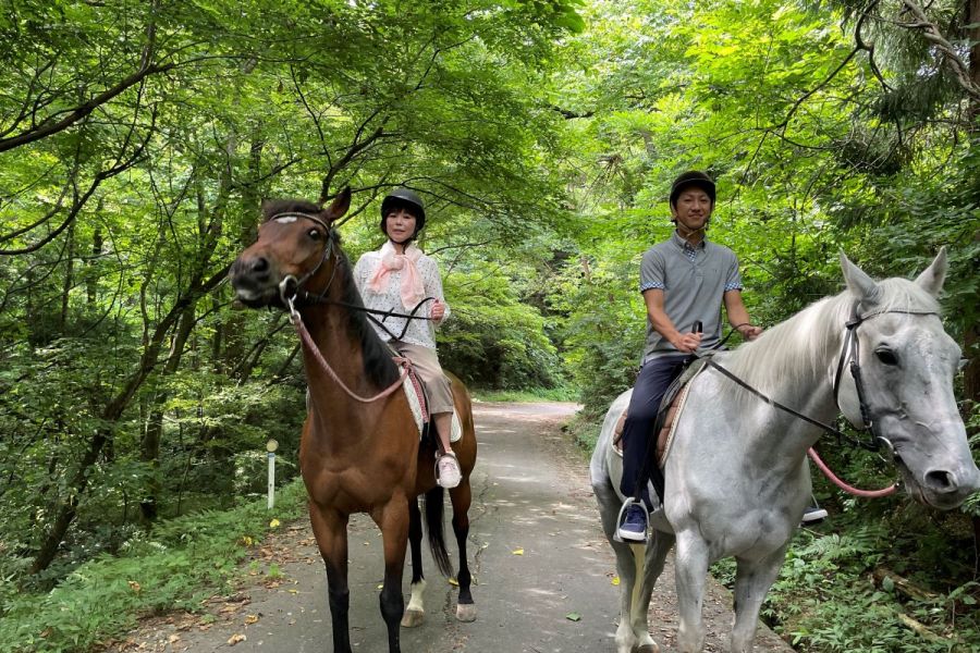 サラブレッドに乗れる！山道で乗馬体験