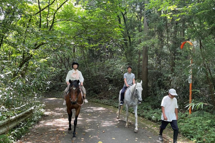 緑の中のんびり馬で