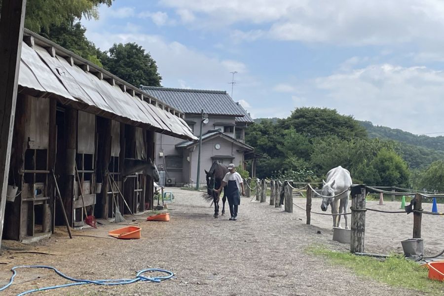 日本海乗馬クラブ