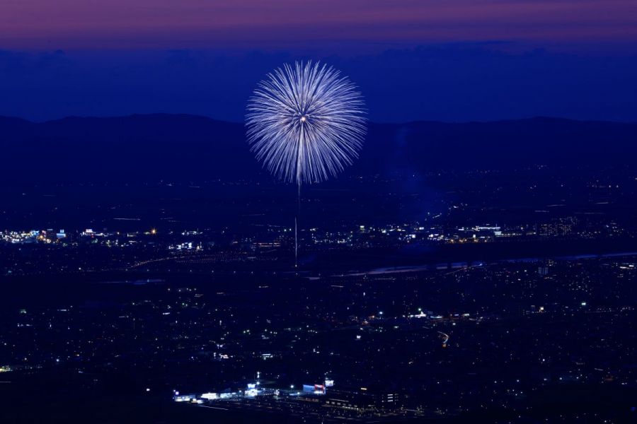 2022年8月3日白菊