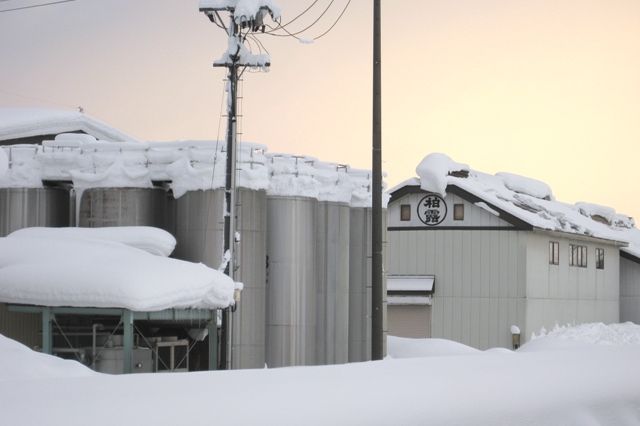 柏露酒造雪景色