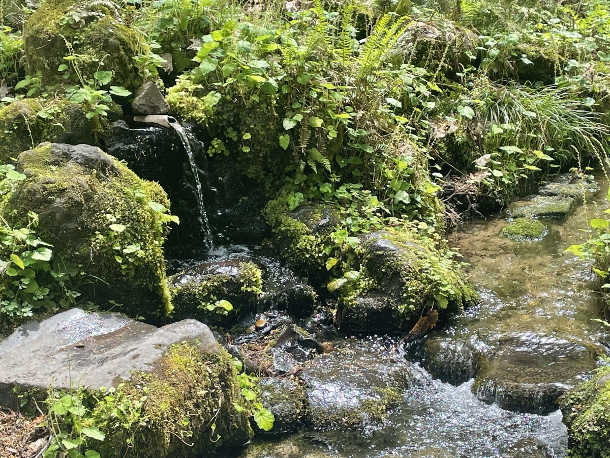 杜々の森名水公園